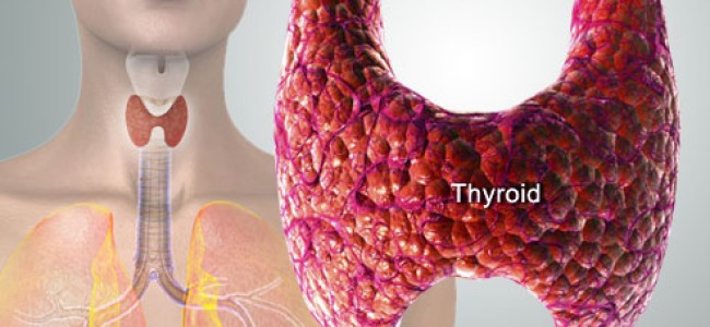 10 simptome care pot trada o afectiune a tiroidei