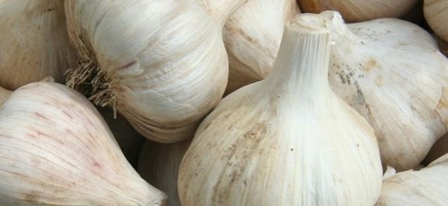 10 motive pentru care ar trebui sa consumi zilnic usturoi 10 motive pentru care ar trebui sa consumi zilnic usturoi