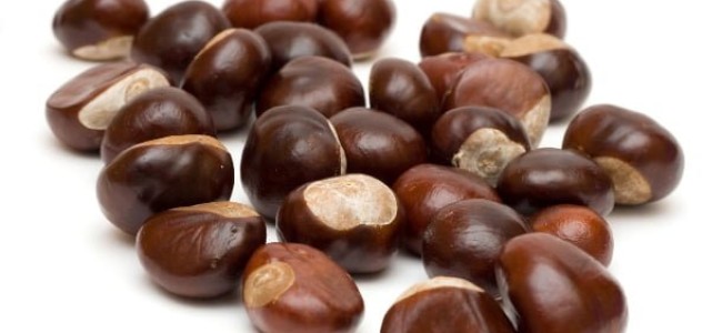 Castanele comestibile – o alegere inteleapta Castanele comestibile – o alegere inteleapta