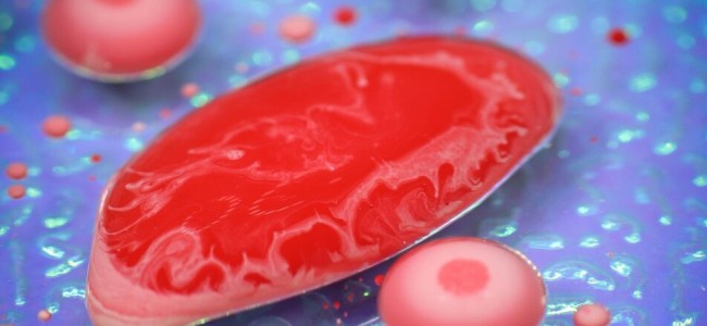 Sangele, compozitie si rolul acestuia in organism Sangele, compozitie si rolul acestuia in organism