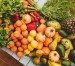 Detoxifierea organismului, o metoda eficienta de a pierde kilogramele in plus Detoxifierea organismului, o metoda eficienta de a pierde kilogramele in plus